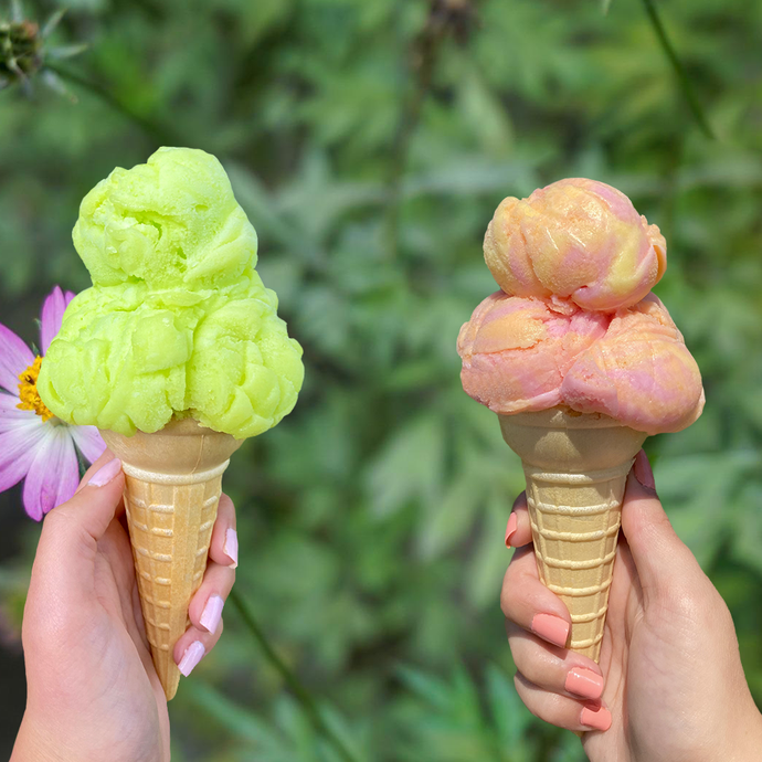 Sherbet vs. Sorbet - What's The Difference?