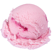 NSA (No Sugar Added) Raspberry Ice Cream
